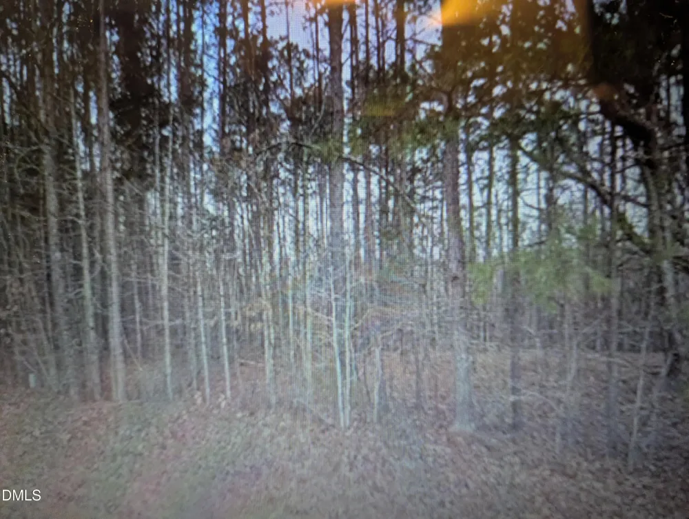 0 Pool Rock Henderson, NC 27537