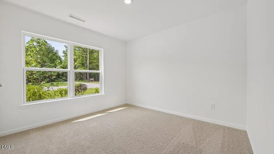 86 Richmond Run Stem, NC 27581