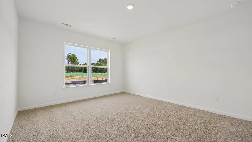 86 Richmond Run Stem, NC 27581