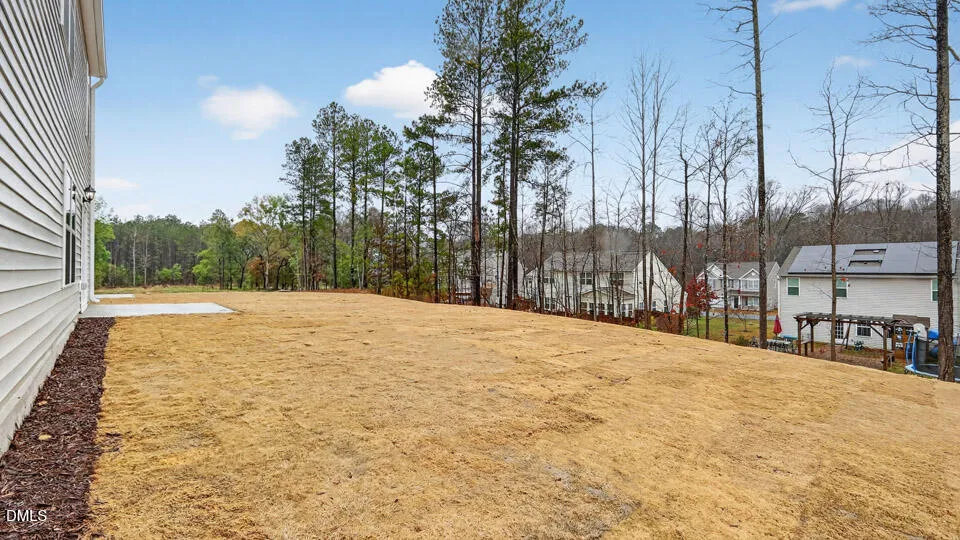 88 Richmond Run Stem, NC 27581