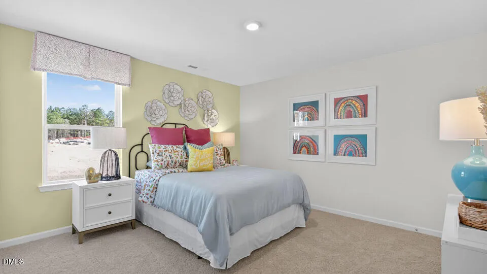 117 Daniel Road Wilsons Mills, NC 27520