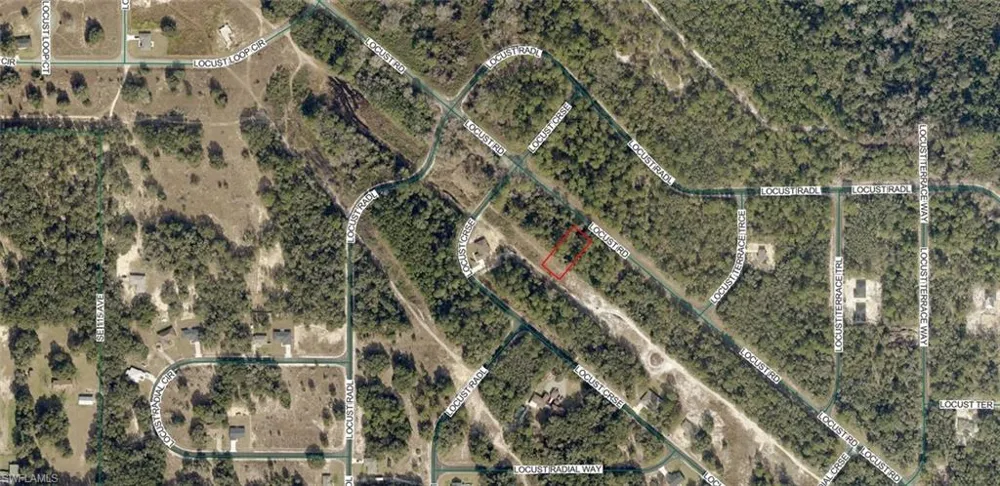 9033 Locust Road ocala, FL 34473