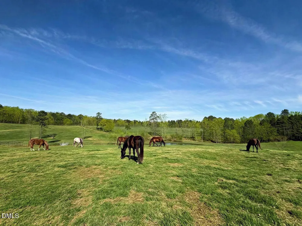 2727 Lower Moncure Road Sanford, NC 27330