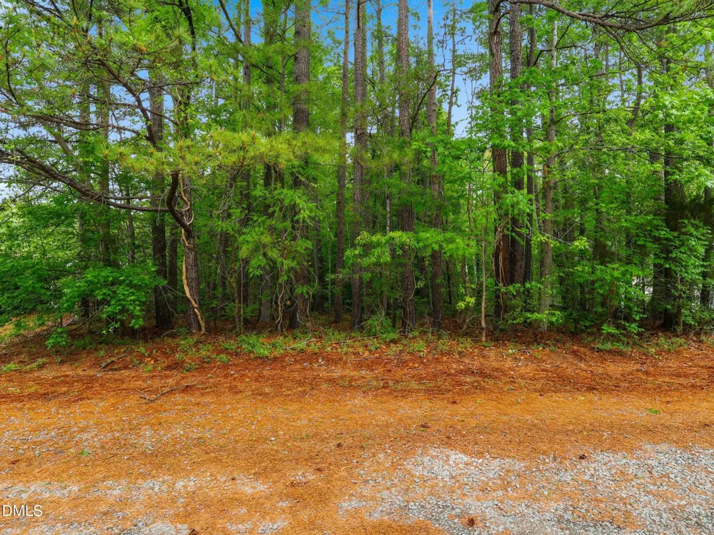 4109 Endor Lane Durham, NC 27704