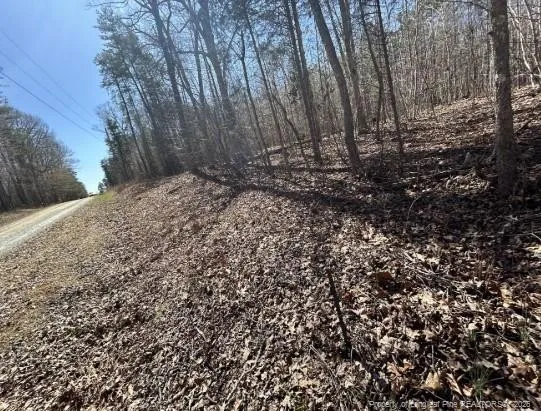 Pointe Mayo Drive Roxboro, NC 27574