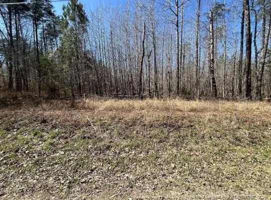 Pointe Mayo Drive Roxboro, NC 27574