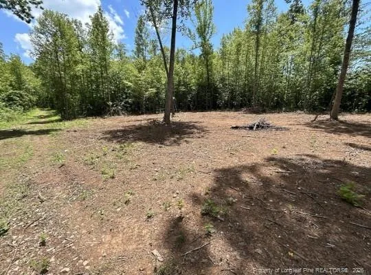 Pointe Mayo Drive Roxboro, NC 27574