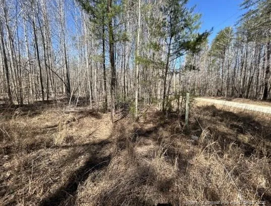 Pointe Mayo Drive Roxboro, NC 27574