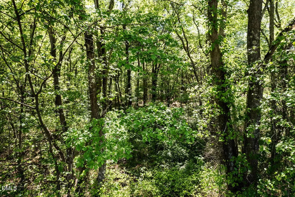 0 S South Nc 87 Hwy Graham, NC 27253