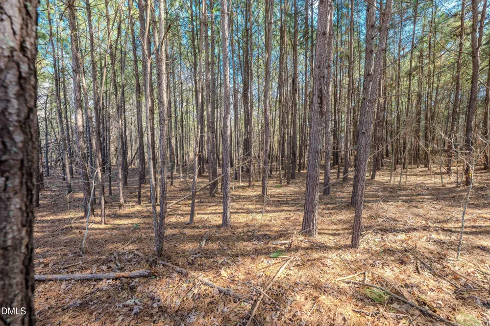 6724 Wimberly Road Willow Springs, NC 27592