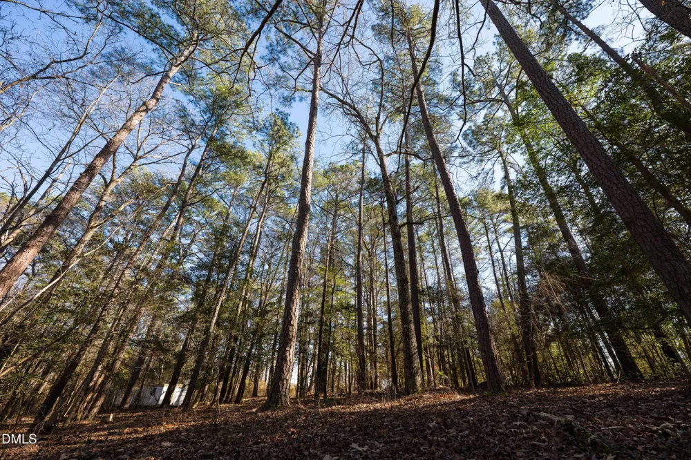 6724 Wimberly Road Willow Springs, NC 27592