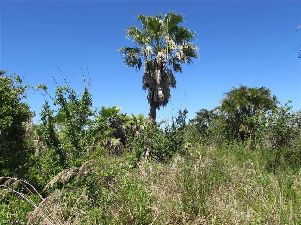 Samadani Lane Bokeelia, FL 33922