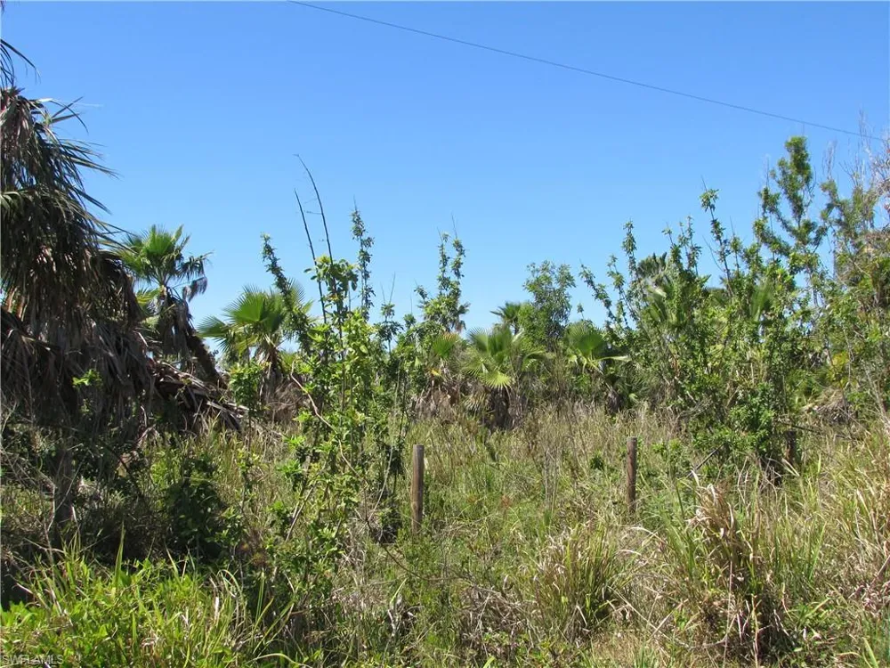 Samadani Lane Bokeelia, FL 33922