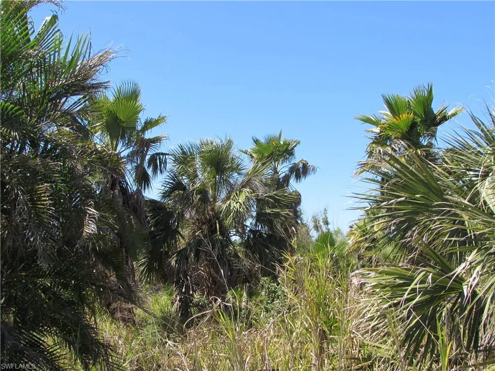 Samadani Lane Bokeelia, FL 33922