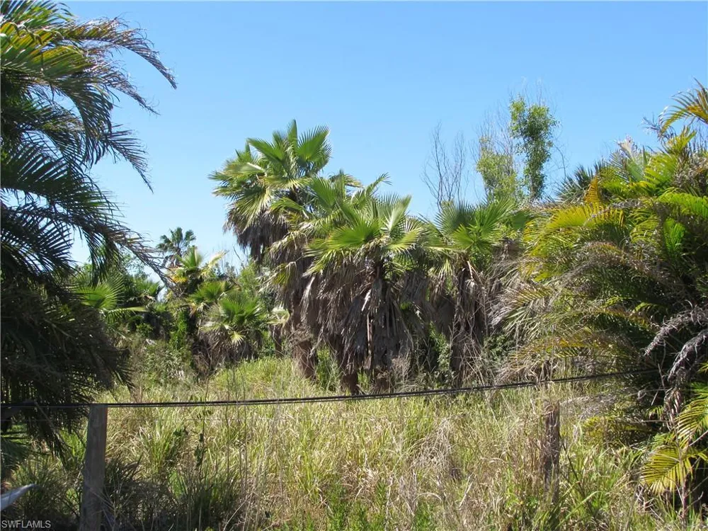 Samadani Lane Bokeelia, FL 33922