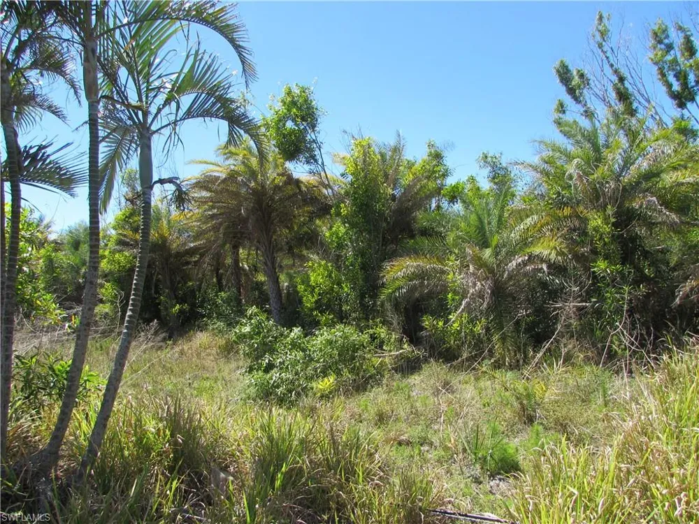 Samadani Lane Bokeelia, FL 33922