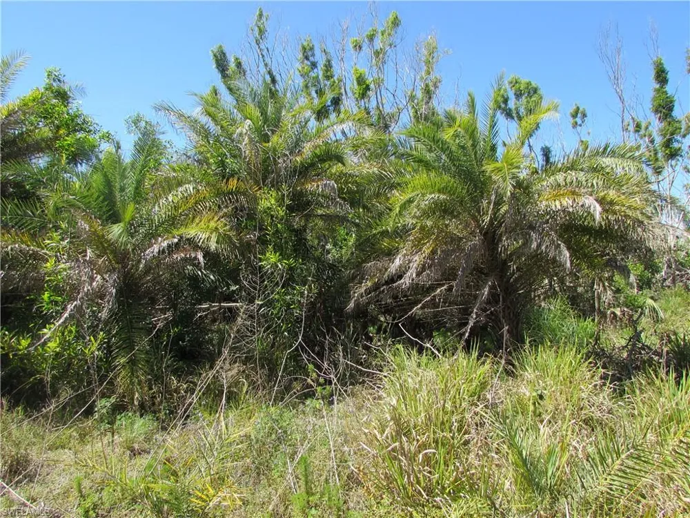 Samadani Lane Bokeelia, FL 33922