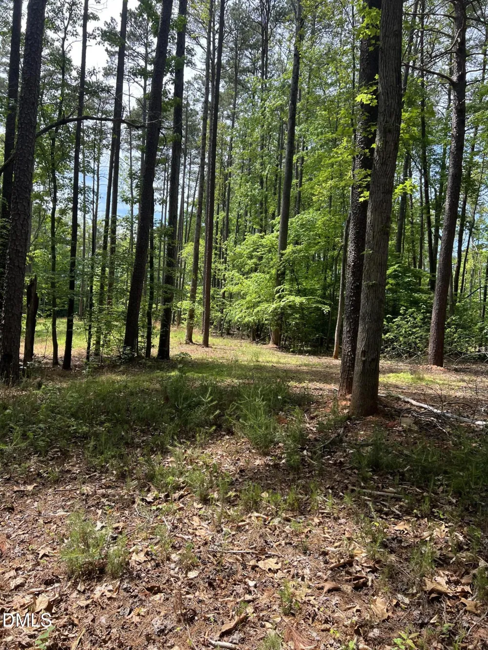 75 Max Finn Lane Roxboro, NC 27574