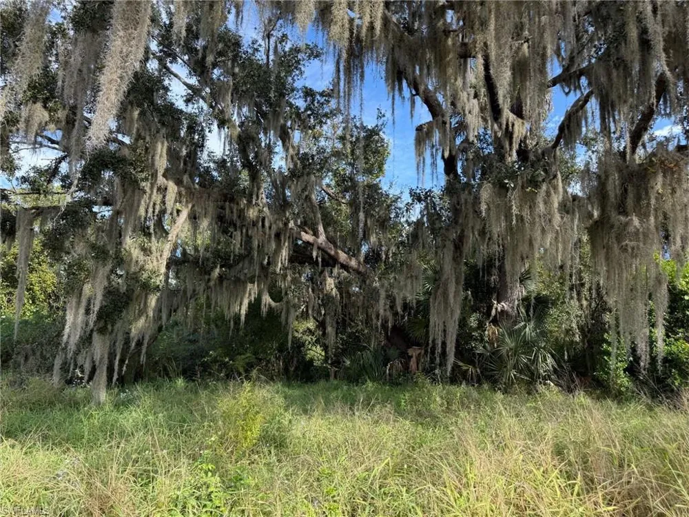 1445 S Florida Avenue Wauchula, FL 33873