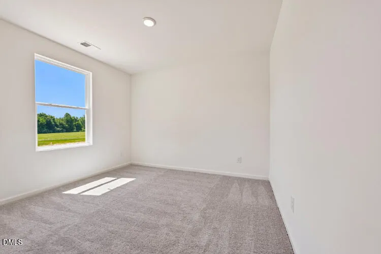 10955 Lancaster Store Road Castalia, NC 27816