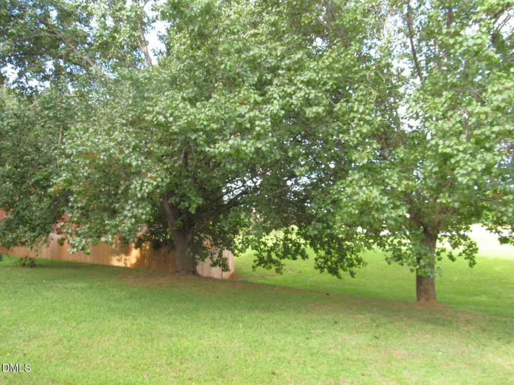 415 Cheatham Street Franklinton, NC 27525