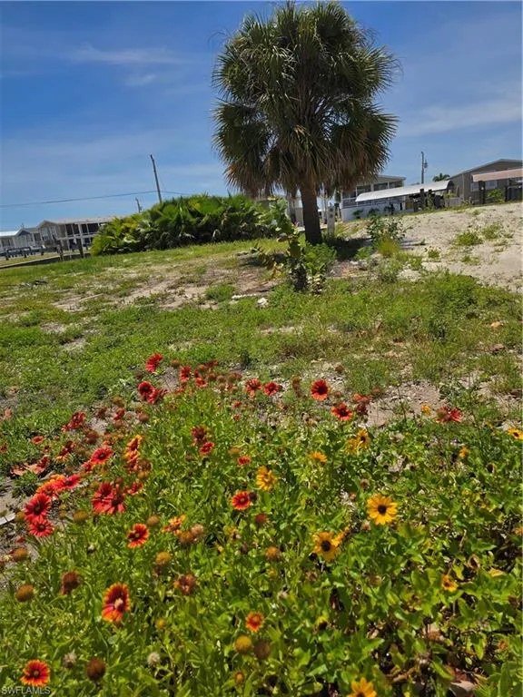 3063 YORK ROAD St. James City, FL 33956