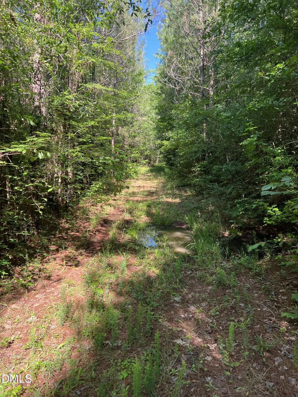 Lot 7 Fishing Creek Road Enfield, NC 27823