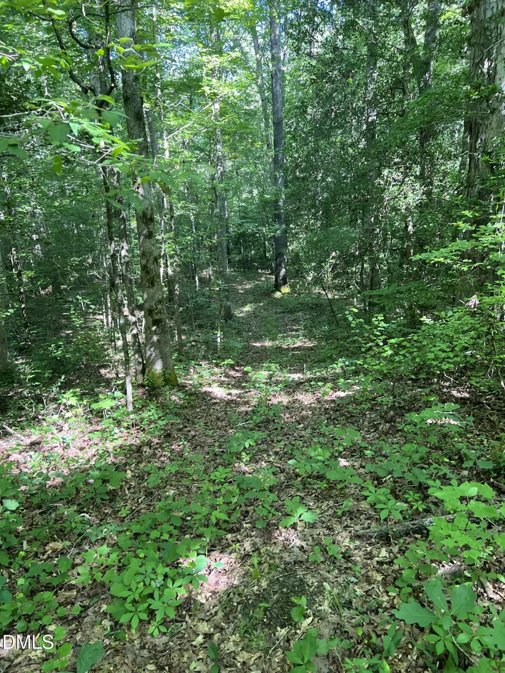Lot 7 Fishing Creek Road Enfield, NC 27823