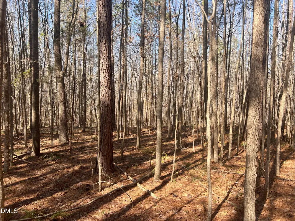 Lot 7 Fishing Creek Road Enfield, NC 27823