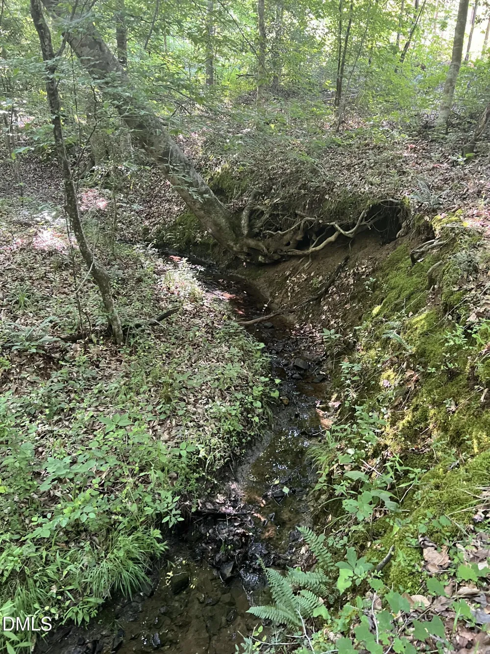 Lot 7 Fishing Creek Road Enfield, NC 27823