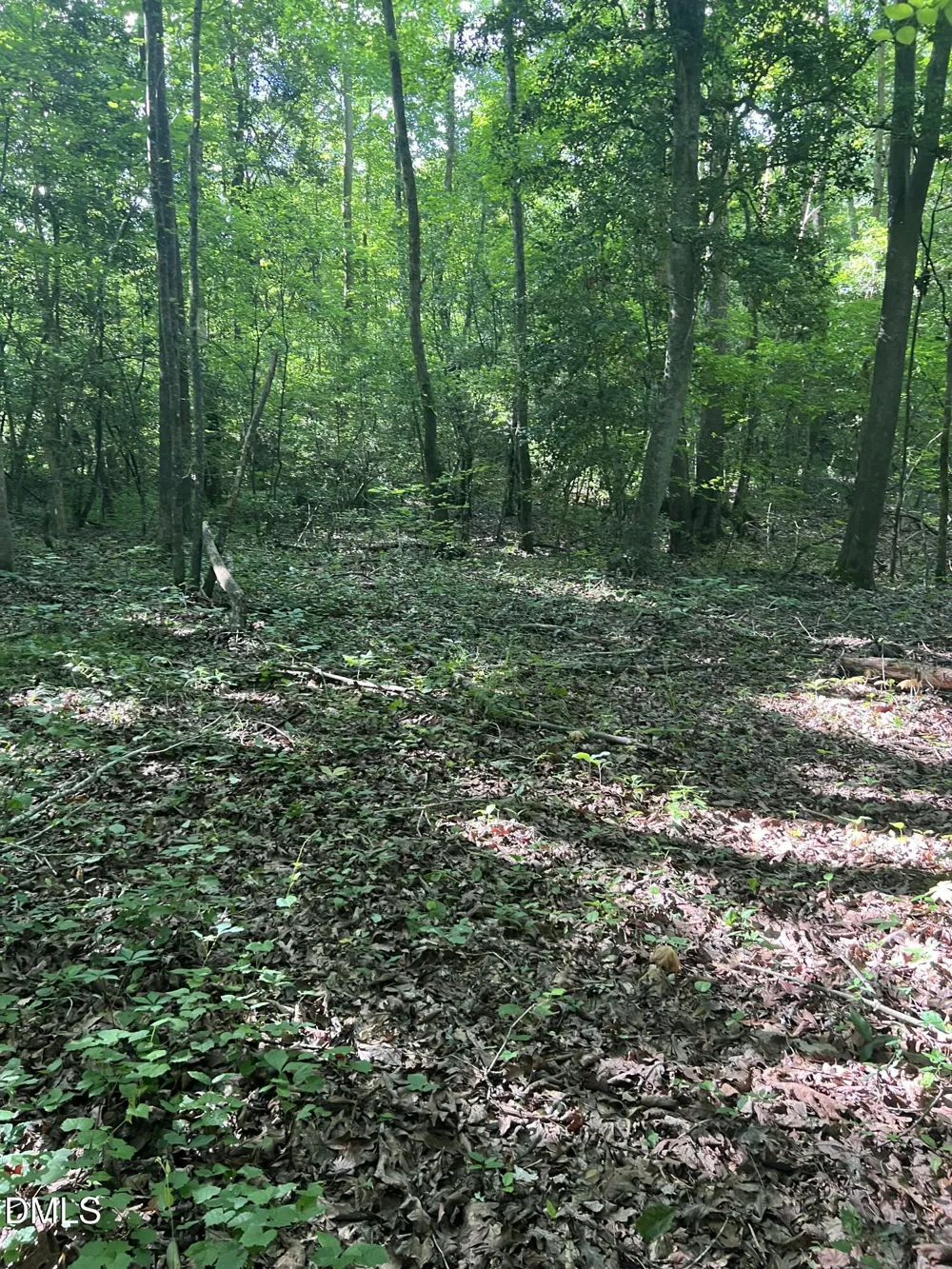 Lot 7 Fishing Creek Road Enfield, NC 27823