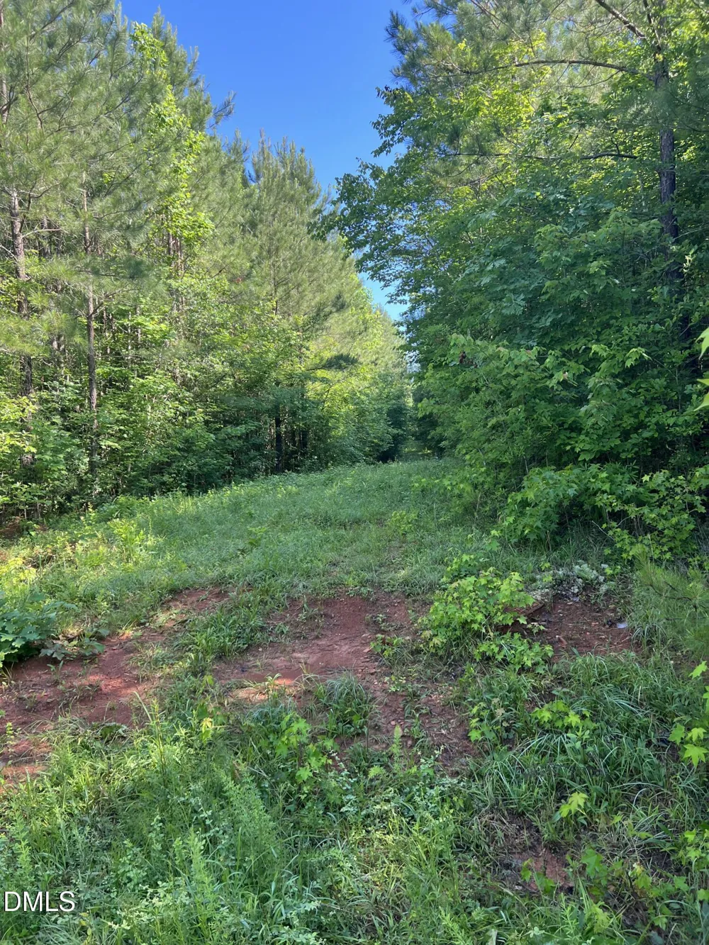 Lot 7 Fishing Creek Road Enfield, NC 27823