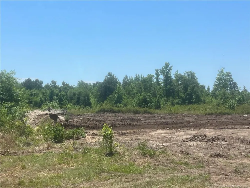 Harleyville Road Rowland, NC 28383