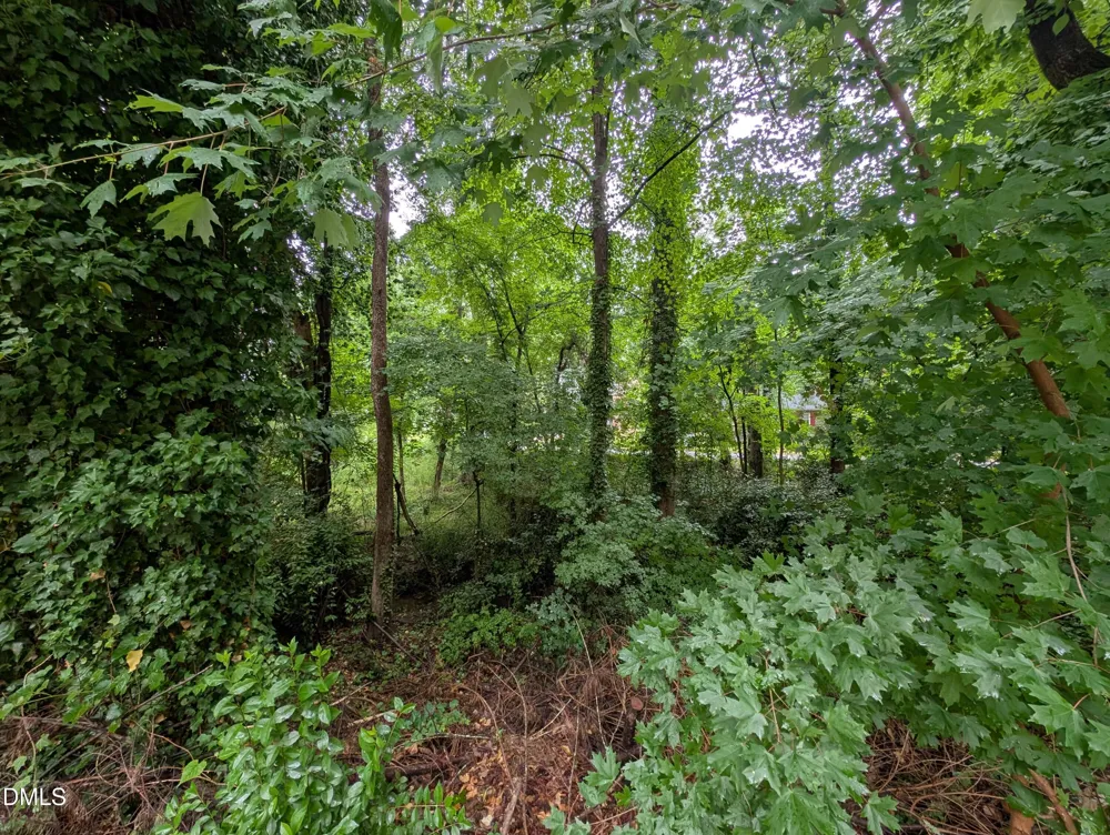 335 Willow Street Cary, NC 27511