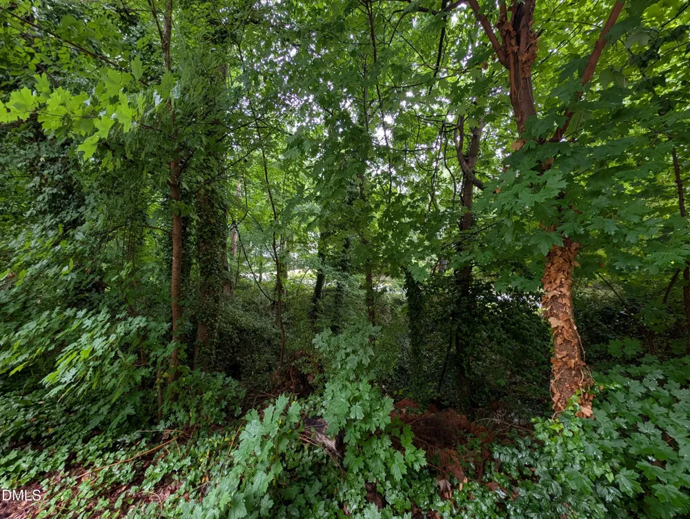 333 Willow Street Cary, NC 27511