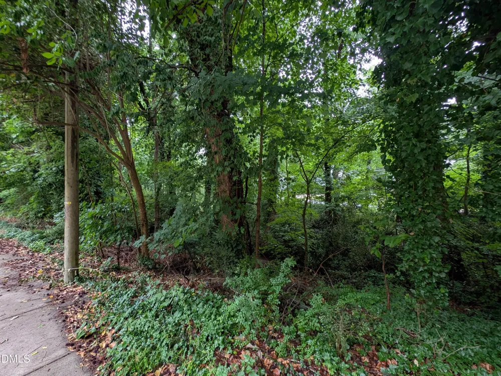 333 Willow Street Cary, NC 27511