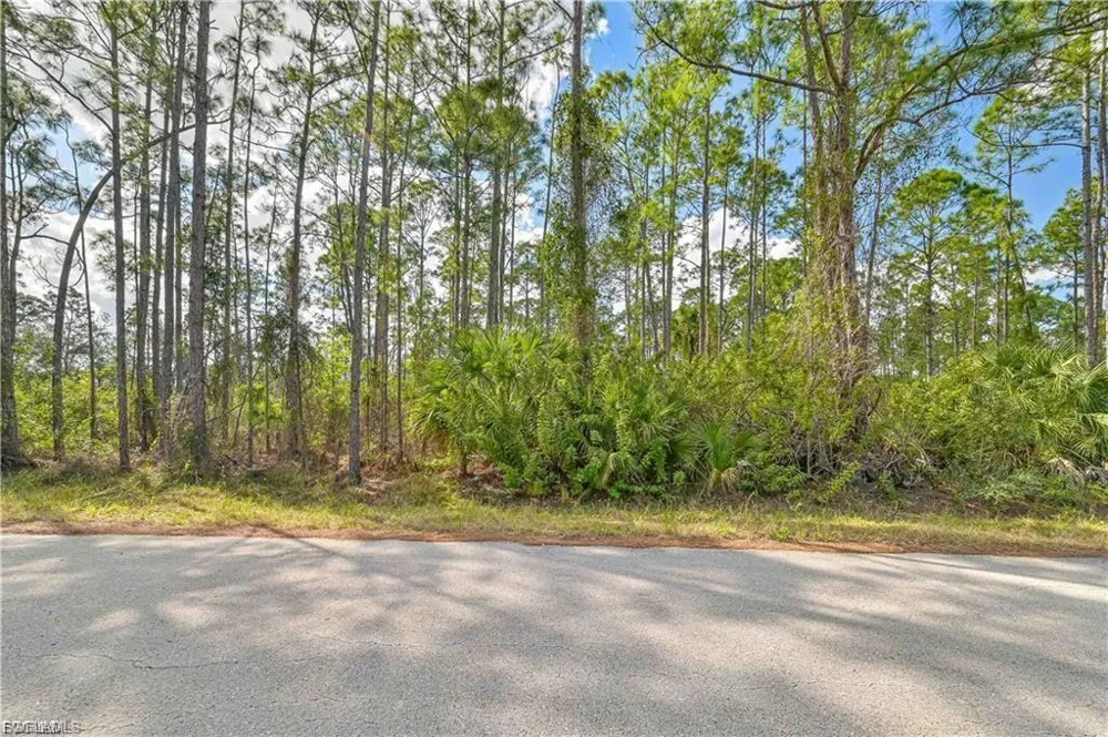2017 Grant Avenue Alva, FL 33920