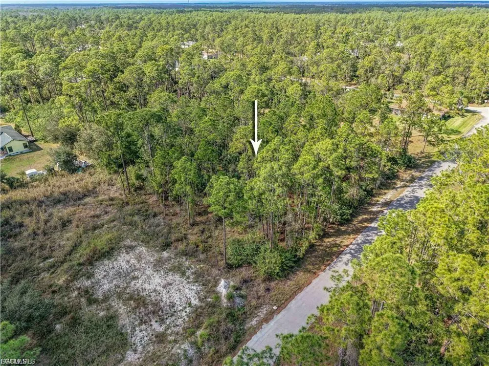 2017 Grant Avenue Alva, FL 33920