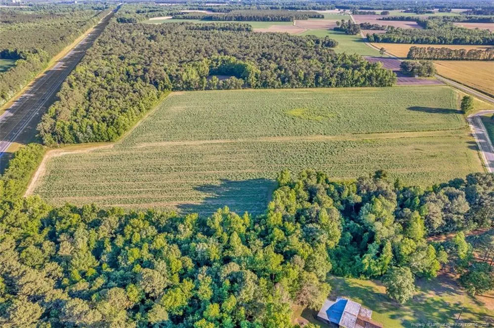 00 Pope Wray (Lot 3) Road Turkey, NC 28393