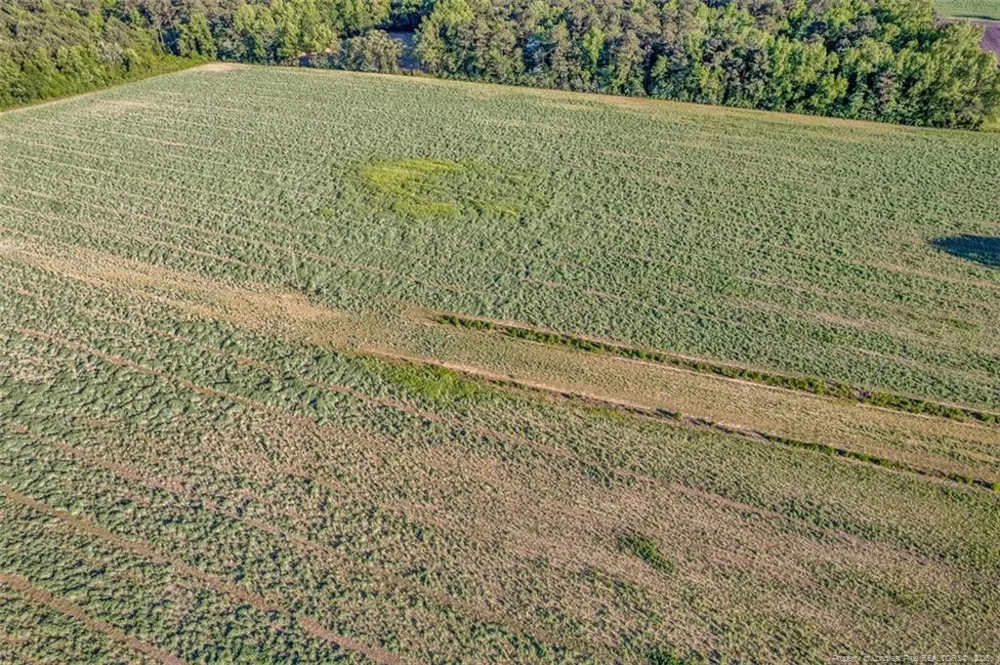 00 Pope Wray (Lot 3) Road Turkey, NC 28393