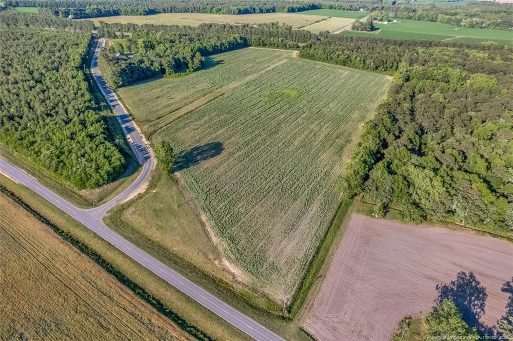00 Pope Wray (Lot 3) Road Turkey, NC 28393