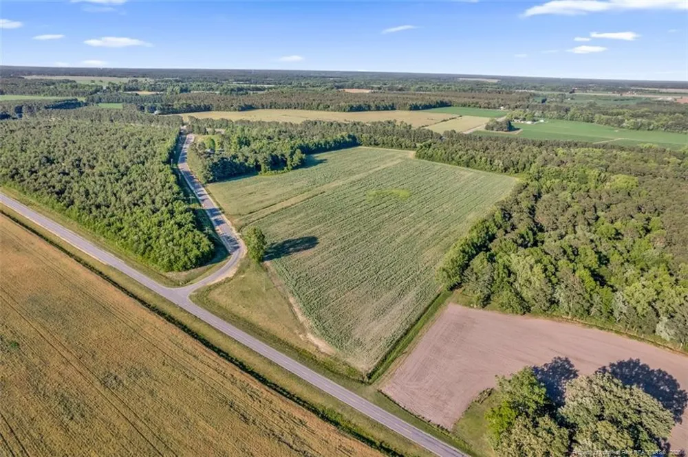 00 Pope Wray (Lot 3) Road Turkey, NC 28393