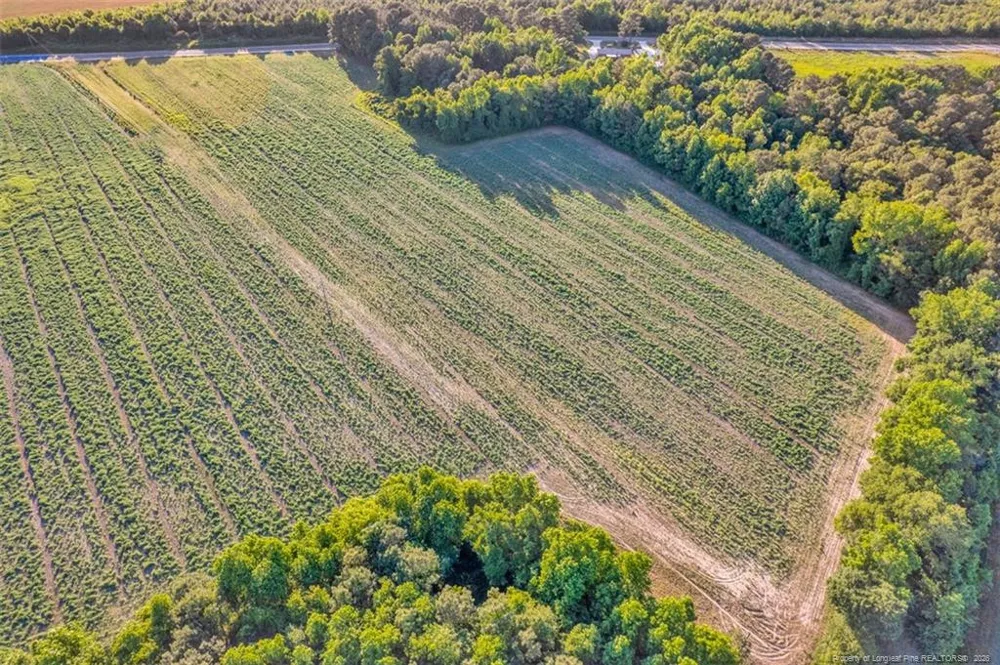 00 Pope Wray (Lot 3) Road Turkey, NC 28393