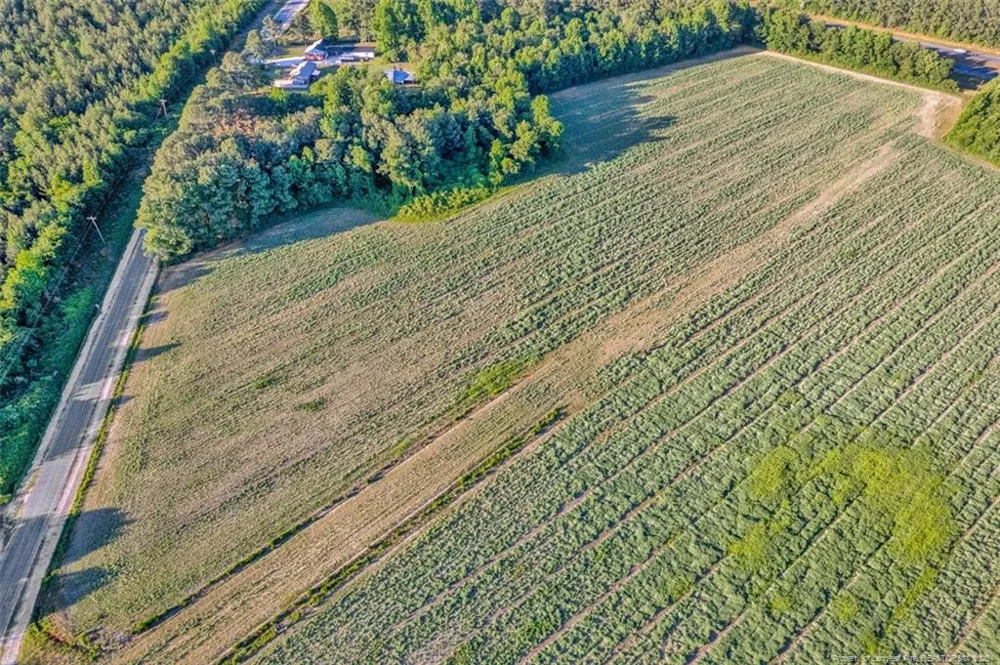 00 Pope Wray (Lot 3) Road Turkey, NC 28393