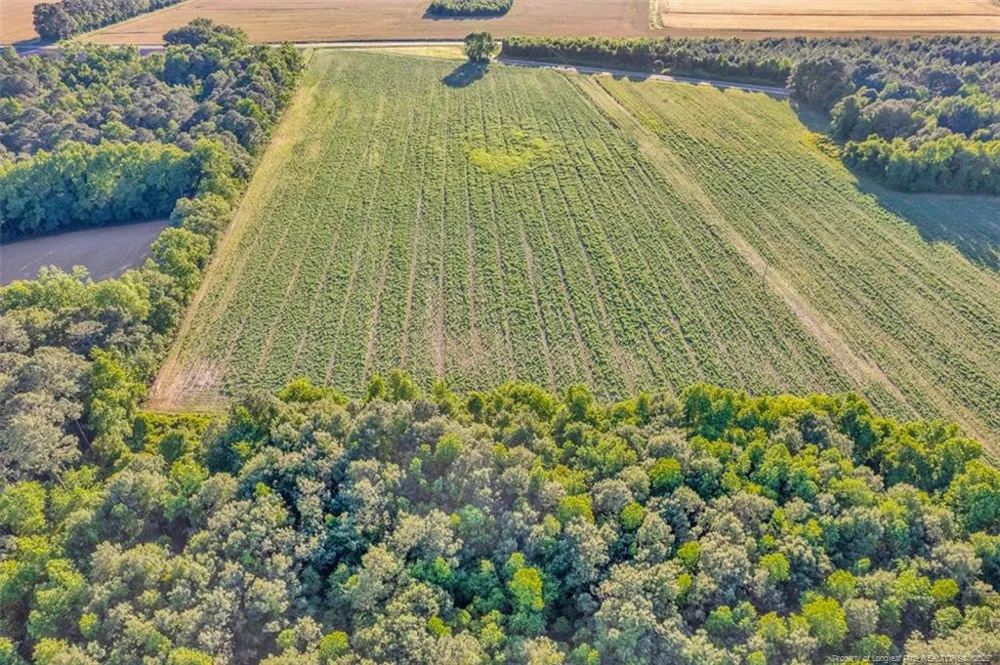 00 Pope Wray (Lot 3) Road Turkey, NC 28393