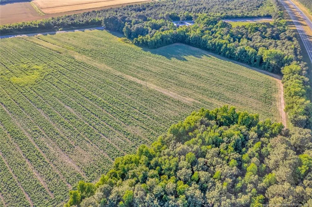 00 Pope Wray (Lot 3) Road Turkey, NC 28393