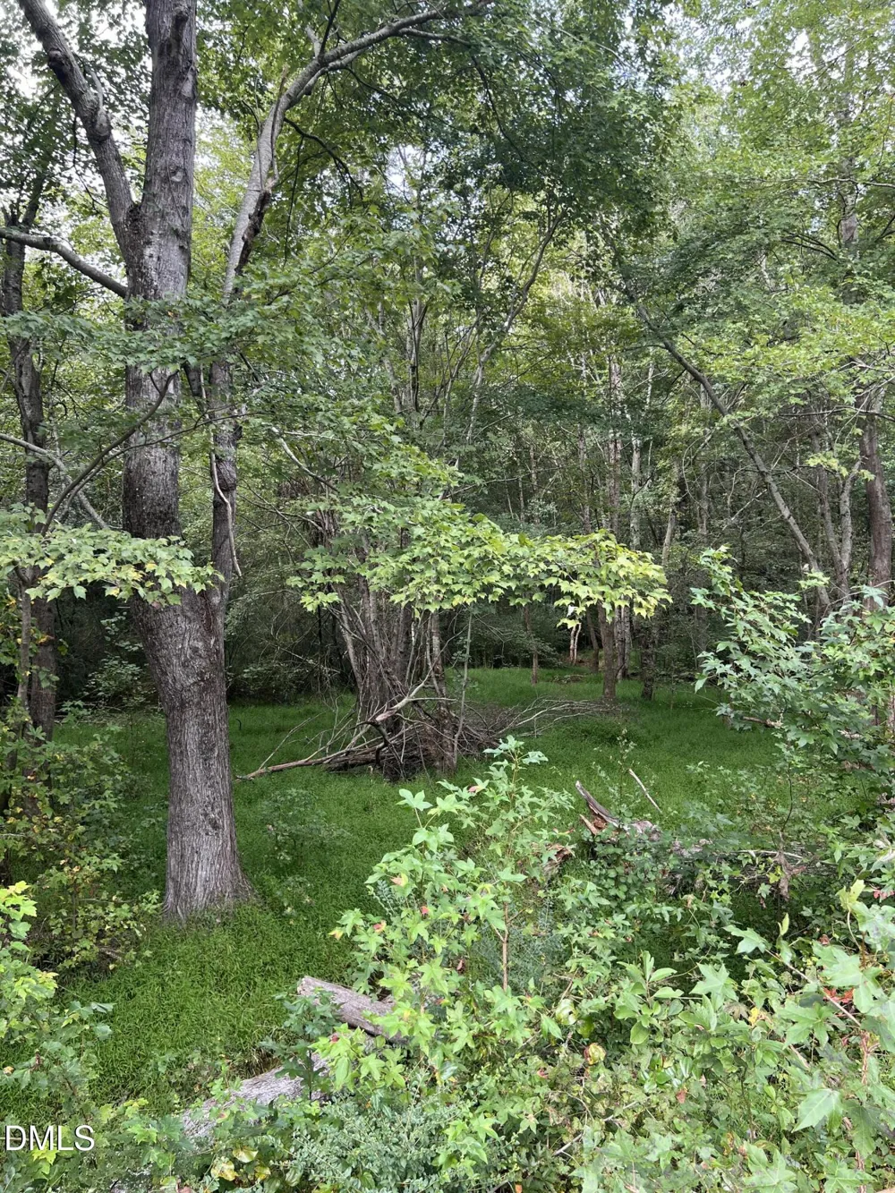Lot 3 264 Alternate Bailey, NC 27807