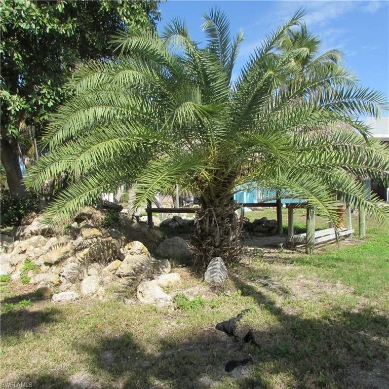 3547 Emerald #13 Avenue St. James City, FL 33956