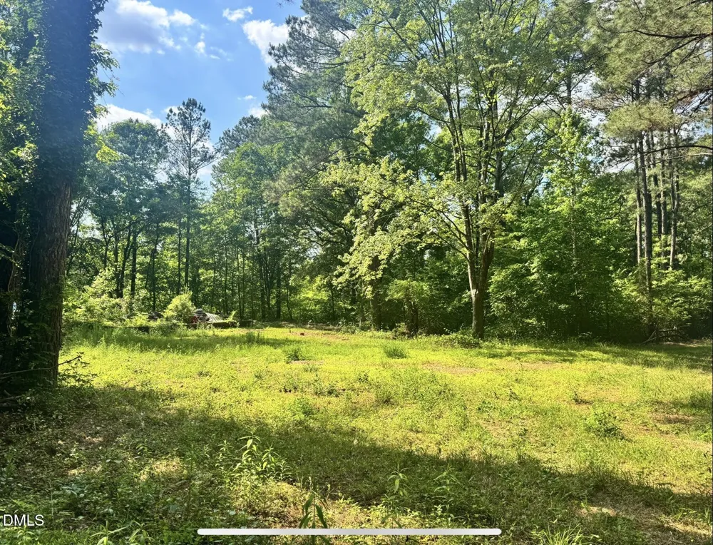 540 Crab Apple Lane Erwin, NC 28339