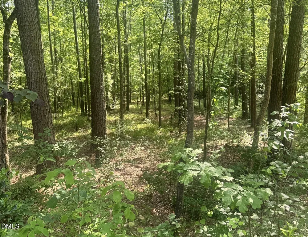 540 Crab Apple Lane Erwin, NC 28339